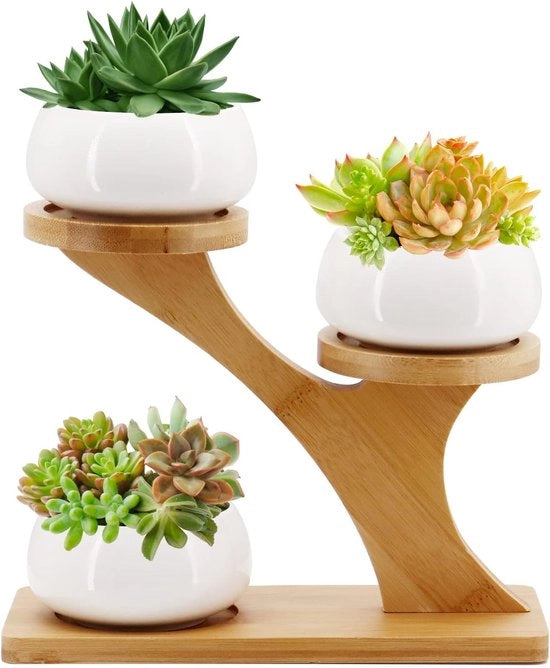 Vaso di Cera con Contenitore in Bambù - Piccoli Vasi per Cactus per la Casa - Decorazione per Ufficio - Decorazione per Finestre (Rond)