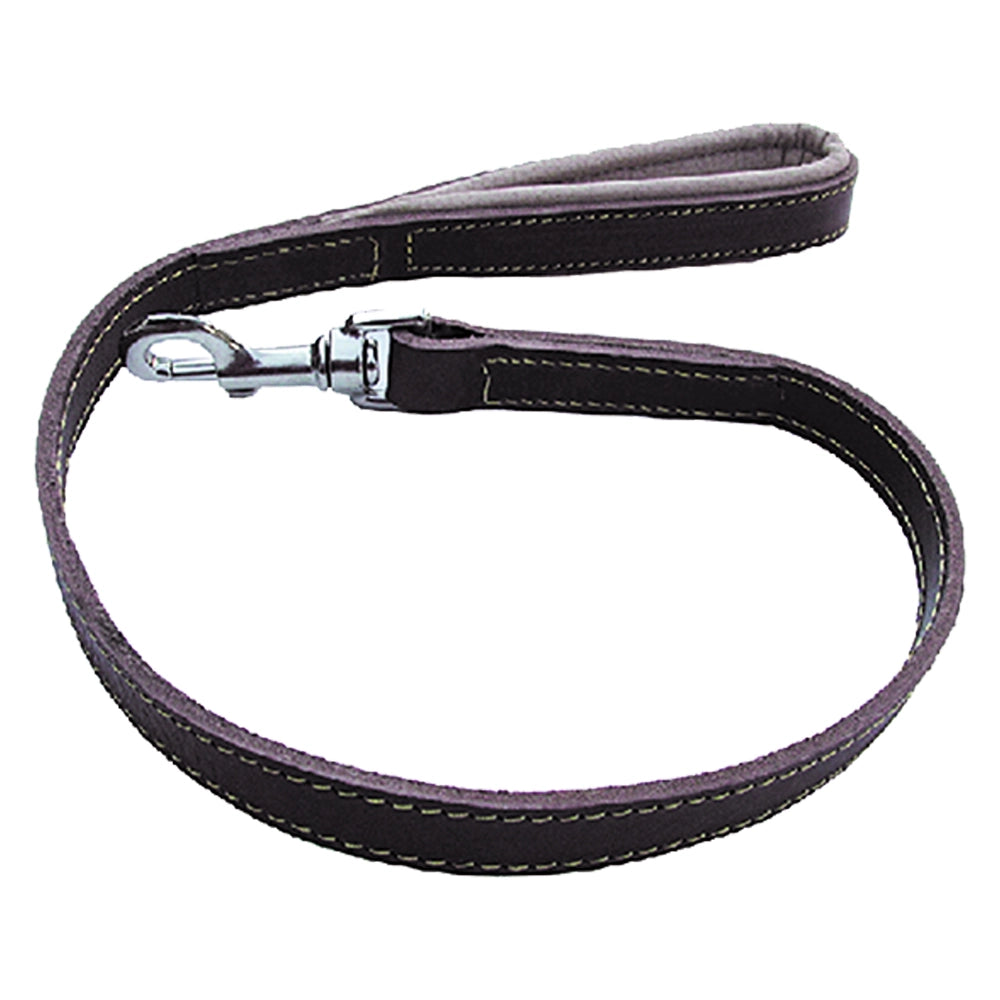 GUINZAGLIO PER CANE larg. mm 20 lung.cm 80  - BricoGo