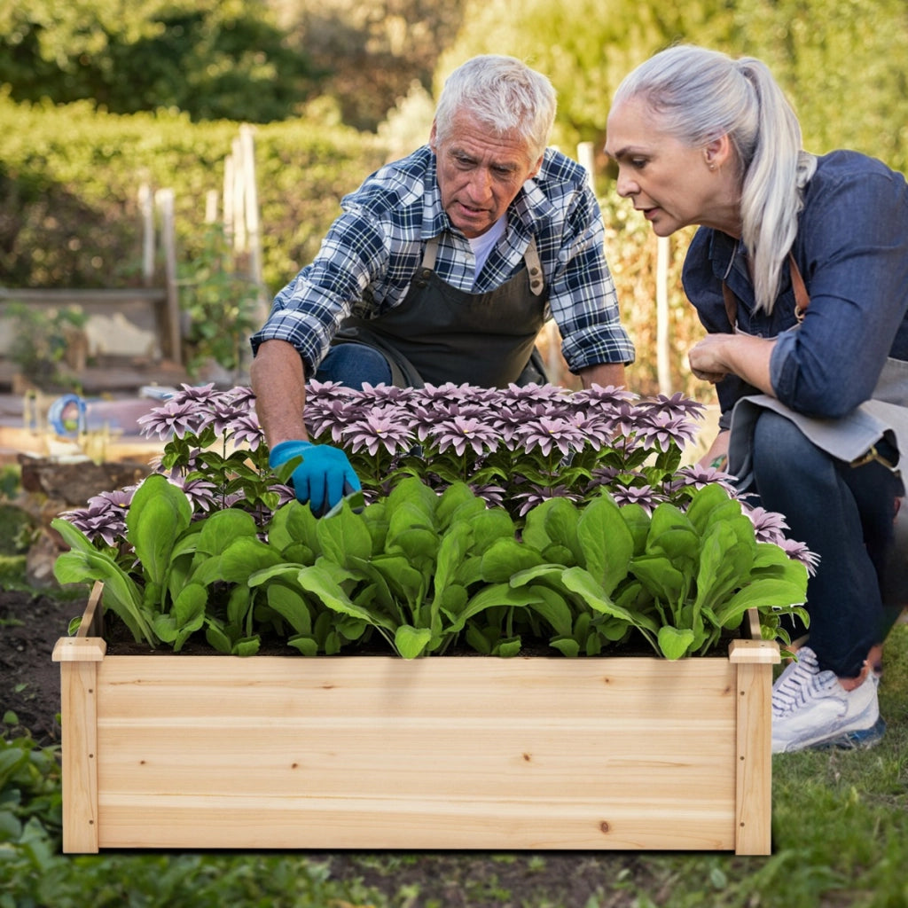 Letto da giardino rialzato legno pesterni verdure frutta e erbe, Fioriera quadrata con base aperta Naturale-Fioriere