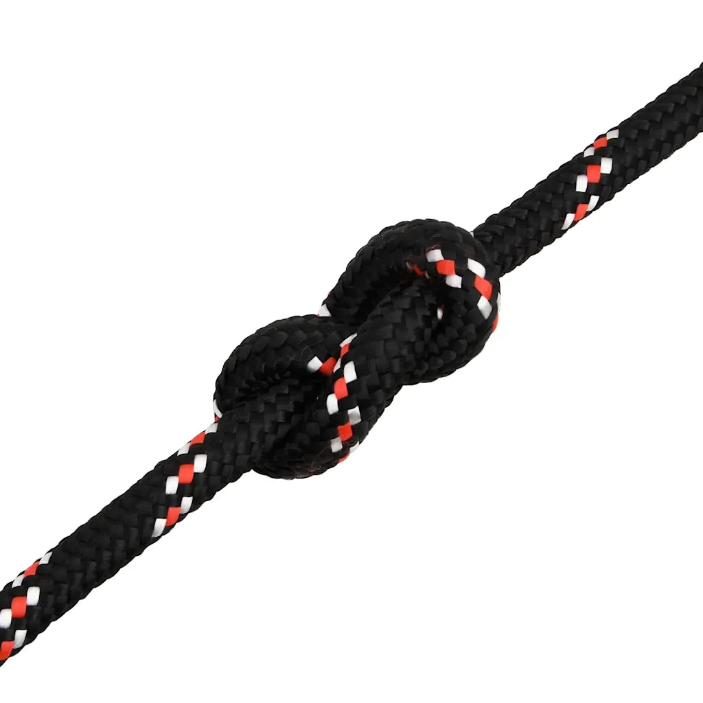 Corda per barca Nera 16 mm 100 m in Polipropilene 152362