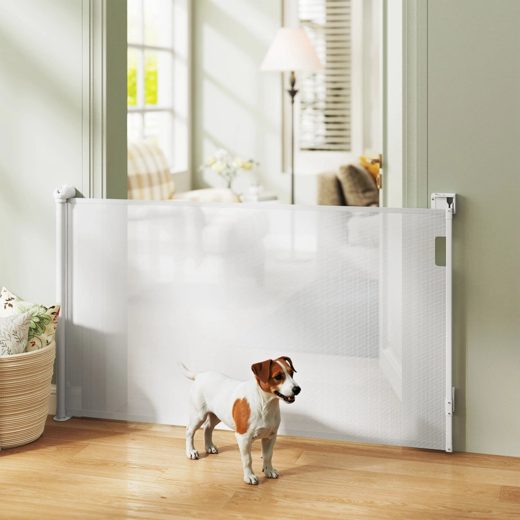 Cancellino per Cani Piccoli Estensibile 0-125 cm e Retrattile con Blocco Automatico, Bianco