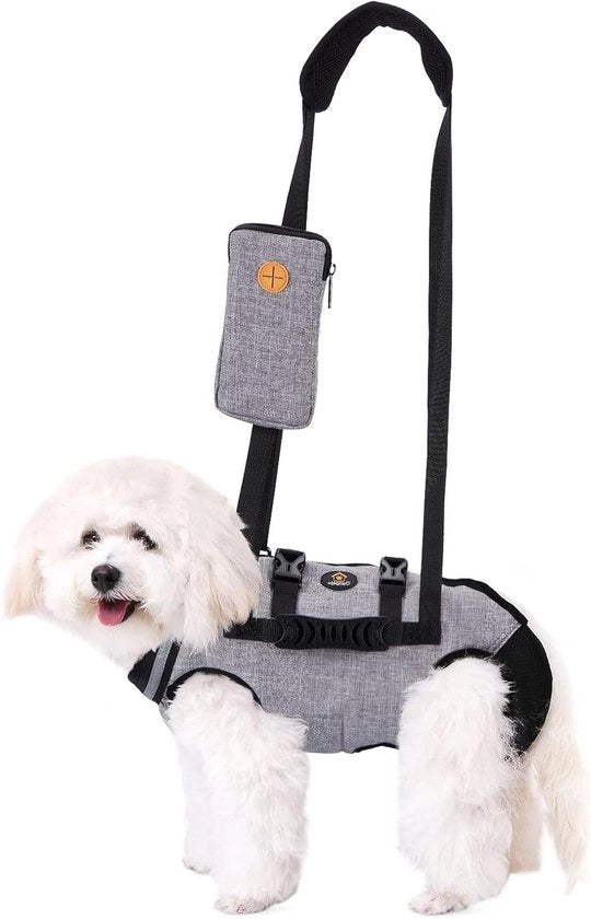 Aiutino per cani piccoli con collare antipulci grigio M