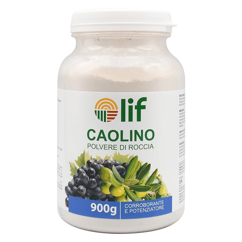 CAOLINO POLVERE DI ROCCIA Gr.900  - LIF