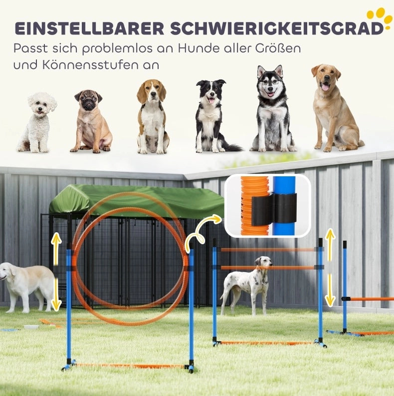 Set da agility per cani con tunnel, ostacoli e slalom
