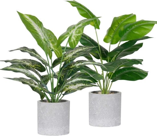 Collezione solida - Piantine artificiali 2 Pack - Piantine per interni - Pianta in vaso - Decorazione per ufficio/bureau - Altezza 40 cm - Alta qualità plastica