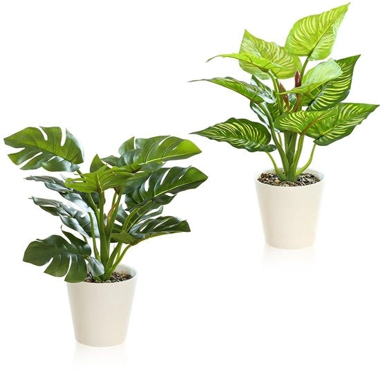 Collezione di piante artificiali in stile naturale - Set da 2 - Piante decorative per interni - Piante per salotto - Senza manutenzione - Piante artificiali per casa