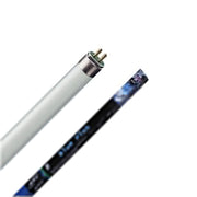 ATI Blue Plus Neon T5 - New Generation Wattaggio lampade: 80W/1450mm