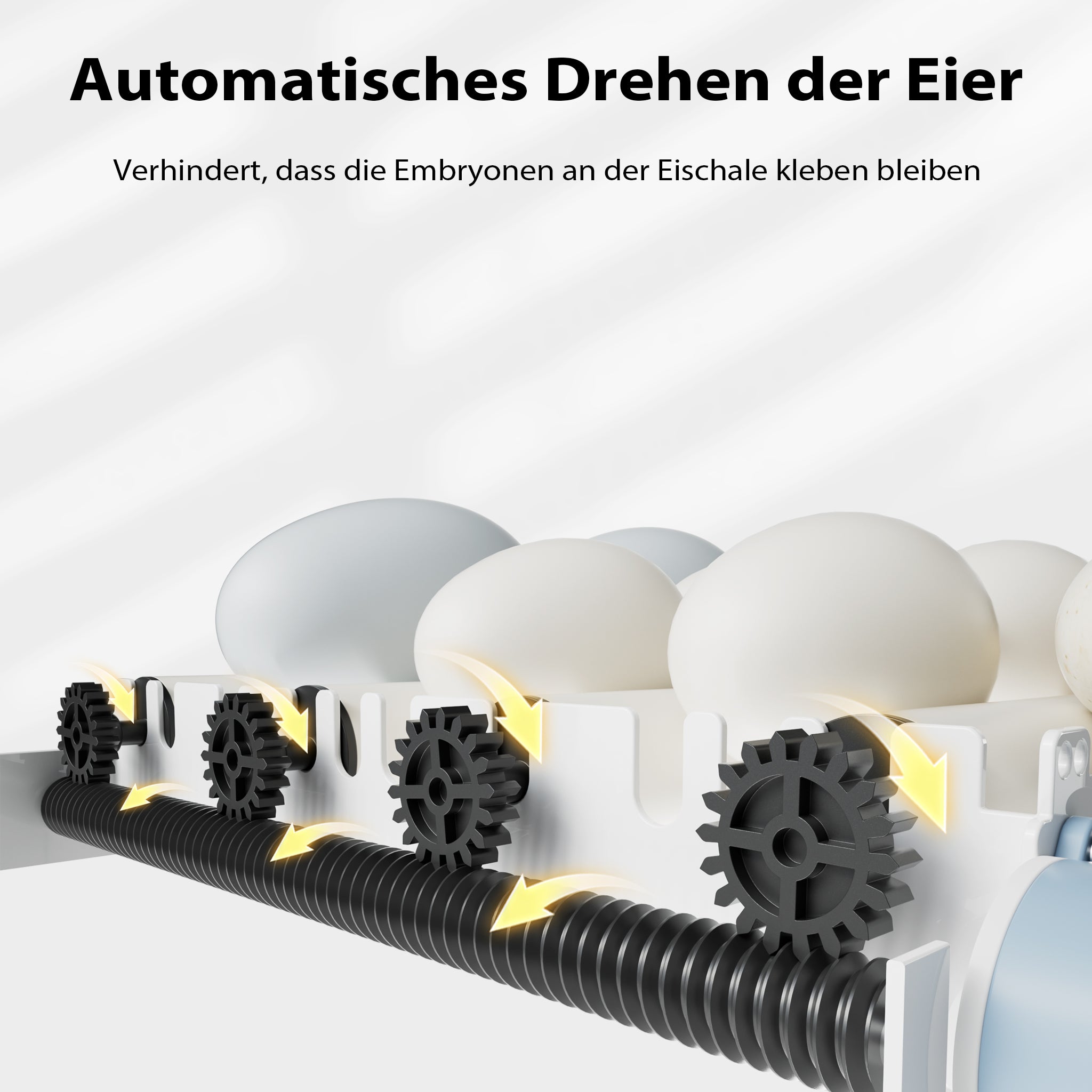 Fudajo Incubatrice di superficie completamente automatica 24 uova Covatrice polli, anatre, pulcini