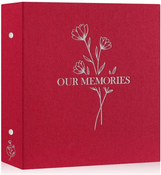 Album fotografico con copertina di lino - Inserzione album per 600 foto - 10x15 cm - Stampato in argento lucido - Impermeabile e acido-resistente - 60 fogli/120 pagine - Libro di foto