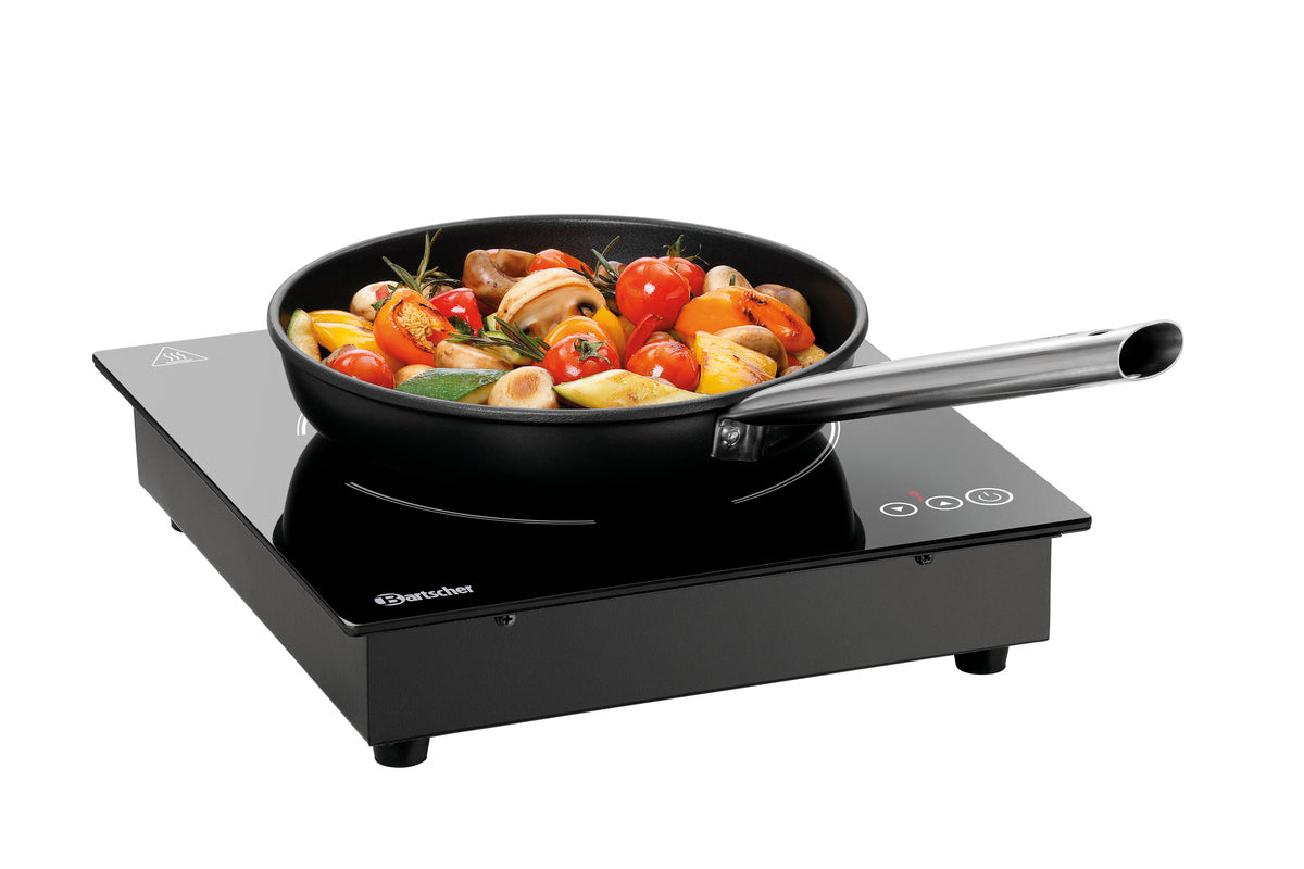 Fornello a induzione da incasso 201TC