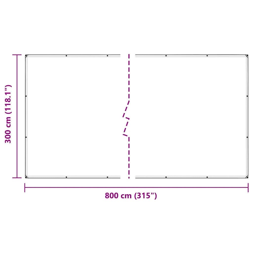 Telone Trasparente con Occhielli 3x8 m in Polietilene