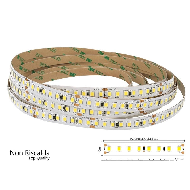 24V Bobina Striscia LED 12W/M 165LM/W 2000LM/M 3 Step Bianco Freddo 6000K 800 SMD 2835 5 Metri IP20