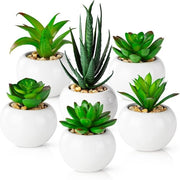Set di 6 piante artificiali - completamente realistici in vasi ceramici bianchi: piante artificiali - decorazione di piante - salotto - bagno - piante artificiali - ufficio - piante artificiali di piccole dimensioni