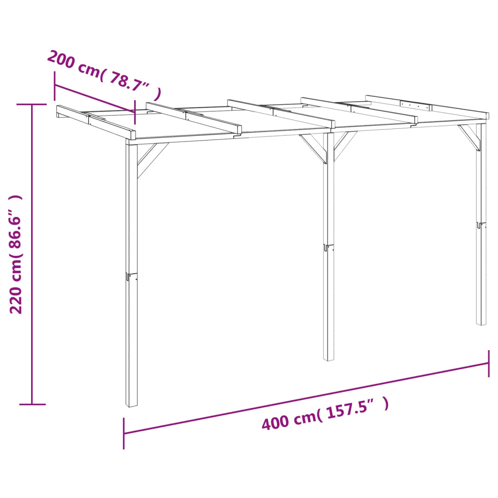 Struttura Pergolato 2x4x2,2 m in Legno 41710