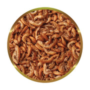 SHG Gammarus - Gamberetti Liofilizzati per Tartarughe Acquatiche Formato: 250 gr
