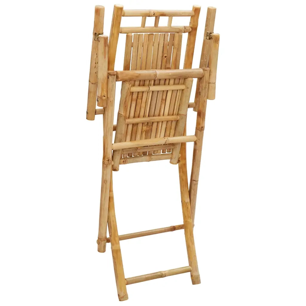 Sedie da Giardino Pieghevoli 4 pz 53x66x99 cm in BambÃ¹