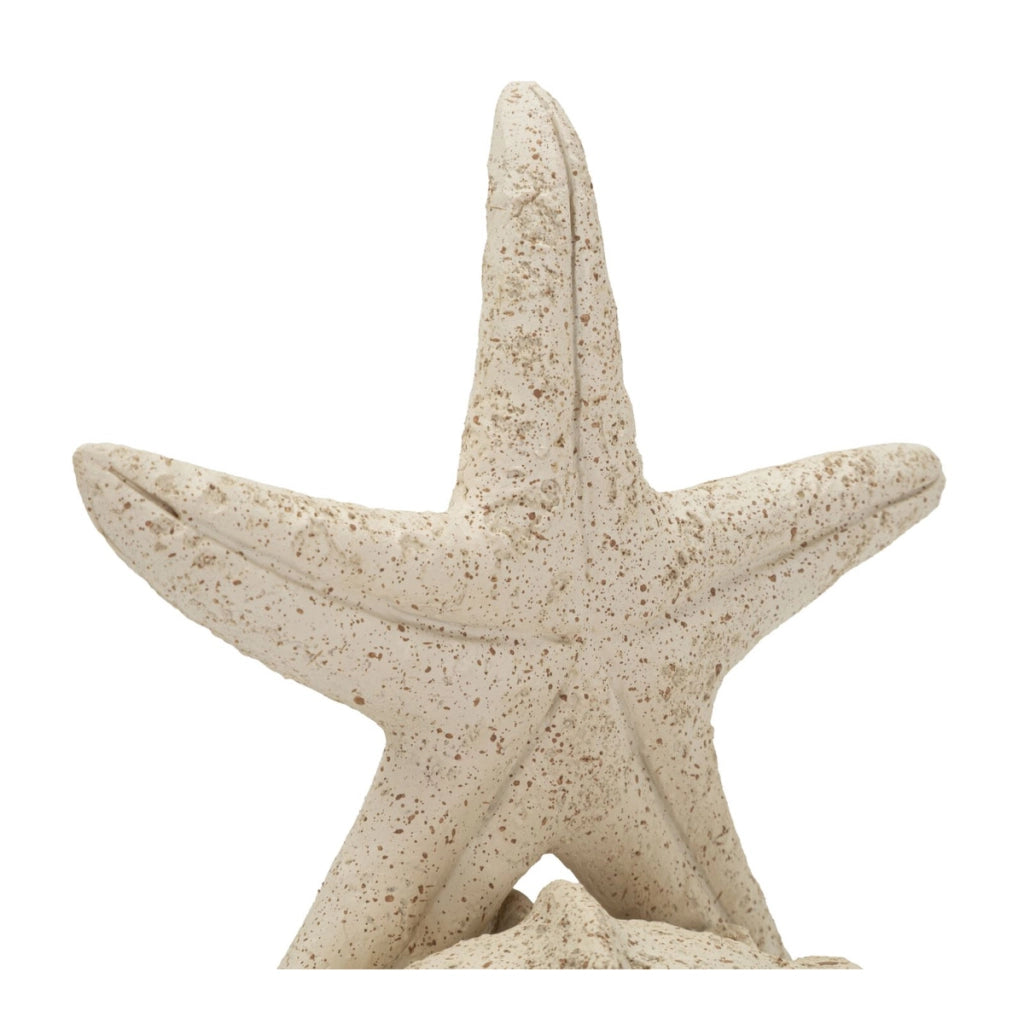 Scultura Conchiglie, Beige, Poliresina, 18x13x21,2 cm