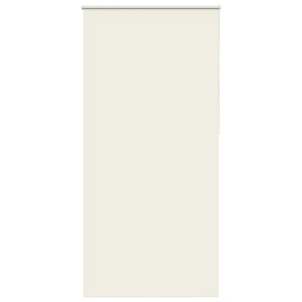 Tenda a Rullo Oscurante-Tenda da sole a rullo 105x230 cm Larghezza Tessuto 100,7 cm 794351