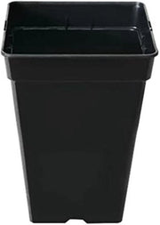 20 Pannelli per Piante in Plastica Nero 11 L - Pannelli per Piante Robusti Controllo del Giardino Pack 

Modello: 
20 Pannelli per Piante in Plastica Nero 11 L - Pannelli per Piante Robusti Controllo del Giardino Pack 20pz