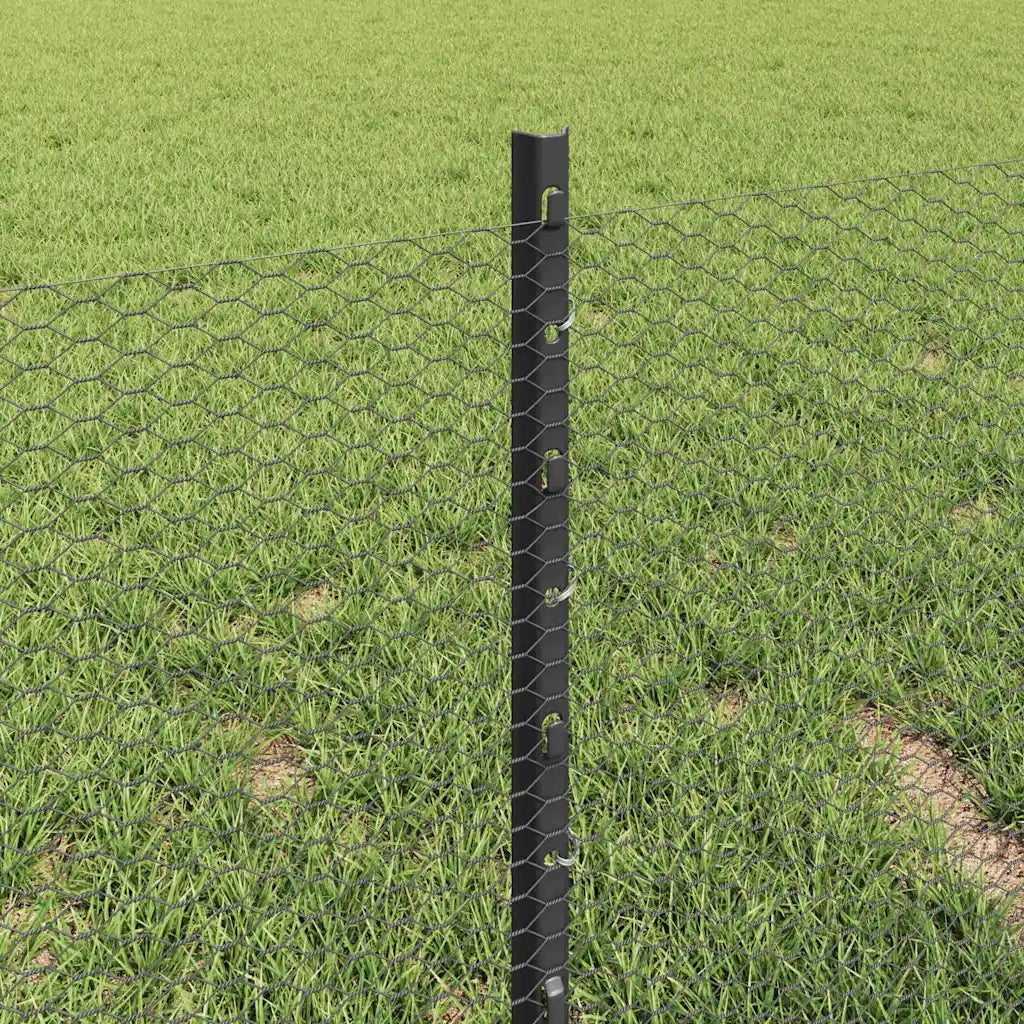 Recinzione da Giardino | Recinzione con Posto Grigio