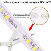 Illuminazione Esterna Acqua Resistente IP67 Bianco Freddo 3 Metro Striscia LED 220V Alternata - Prese EU - 5730 Strisce Flessibili di Illuminazione Esterna - Esterno - Impermeabile