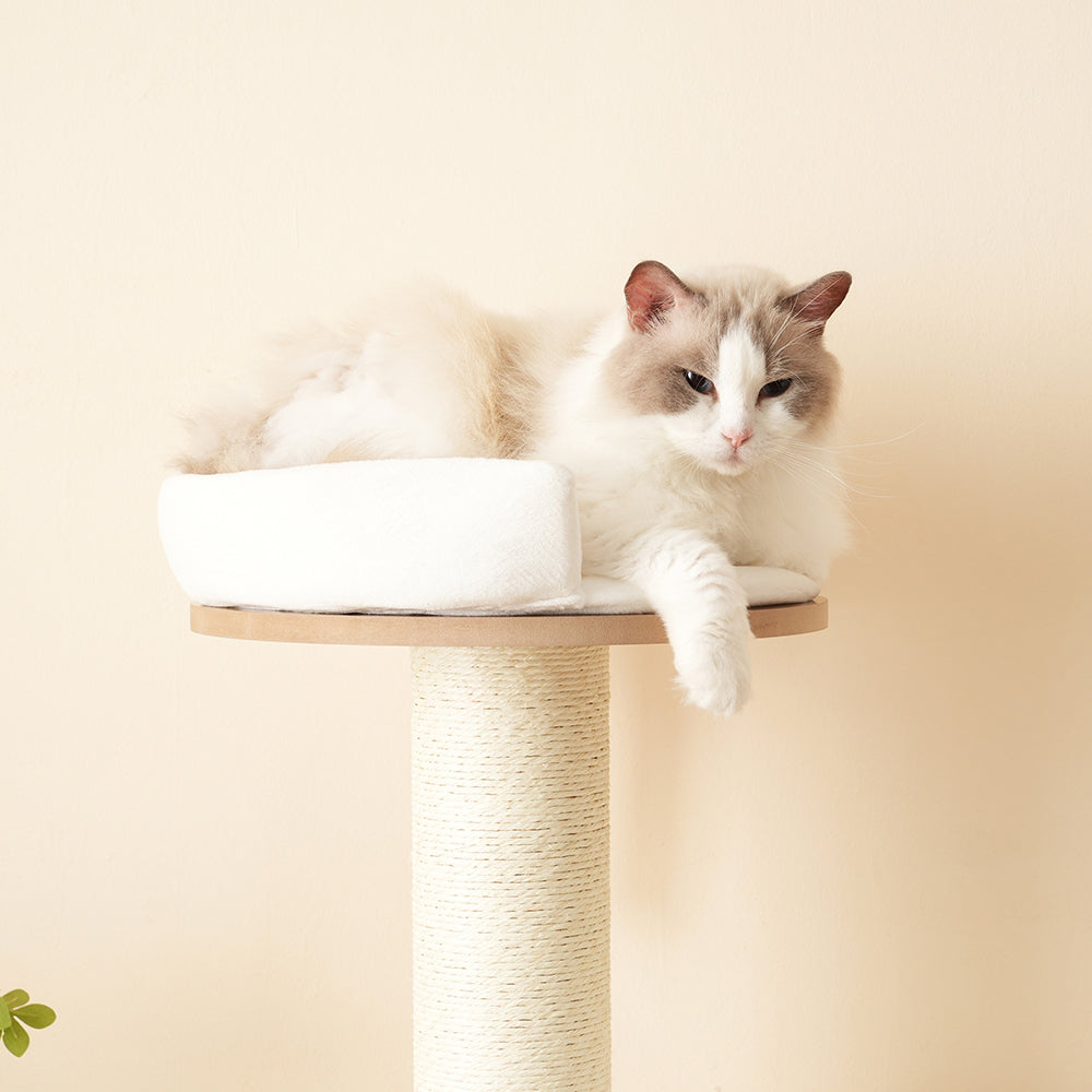 Tiragraffi-Xylo-135cm tronco XXL 3 piattaforme