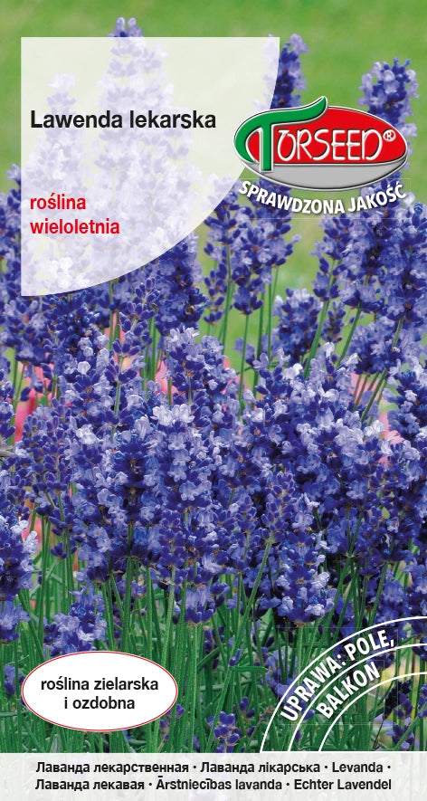 Lavanda Lavandula officinalis 0,2g