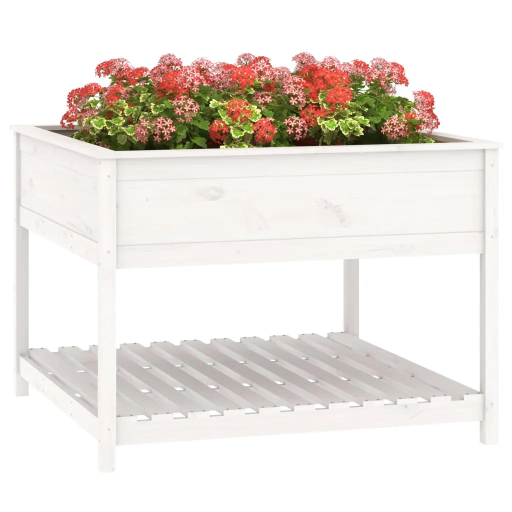 Fioriera Mensola Bianca 111,5x111,5x81cm Legno Massello di Pino 823802