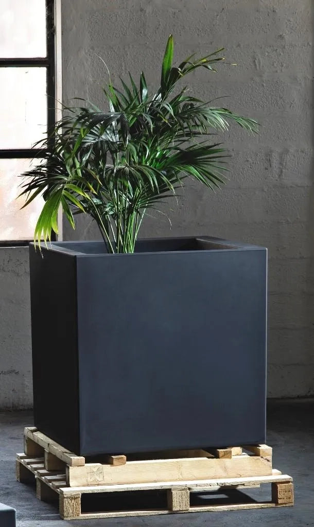 Vaso quadrato Cubo Fenice in resina da 85cm Antracite