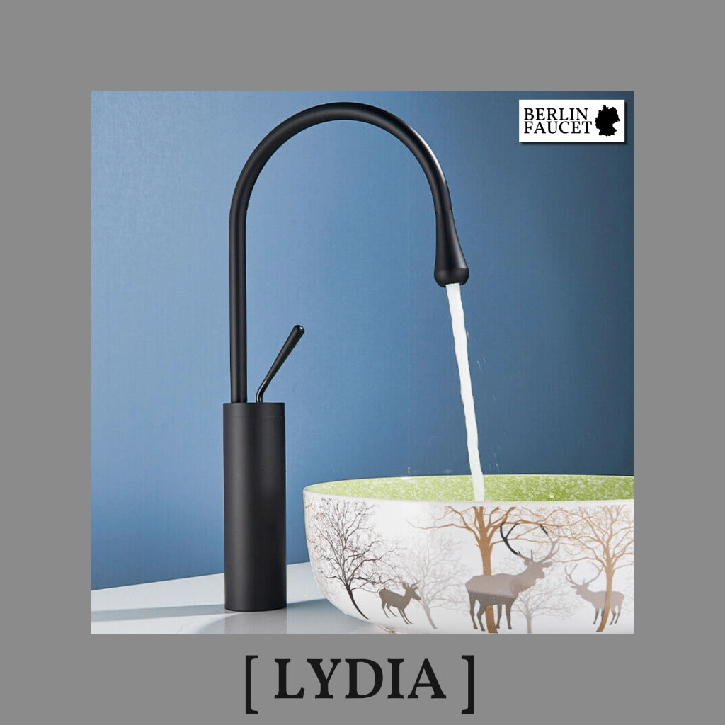 Lydia | Rubinetto da bagno Hotel Gastro nero | in acciaio inox per lavelli alti|rubinetto miscelatore 2 attacchi| Raccordo alta pressione alto bagno