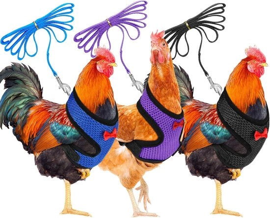 Set di tre vesti per polli adattabili, con cinture di cuoio, respiranti, comode, elastiche, adatte per polli, oche, anatre, addestramento di animali domestici, accessori per passeggiate (taglia M, blu, nero, viola)