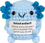 Cuscino di Crochet con Axolotl - Piccolo Regalo di Ispirazione per Donne (Blu)