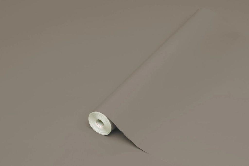 PLASTICA ADESIVA TAUPE LUCIDO D-C-FIX MINI 45X200