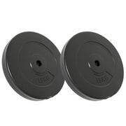 Dischi per Pesi 2 pz 30 kg in Cemento CFW6483159
