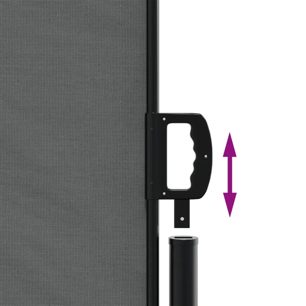 Tenda da Sole Laterale Retrattile Antracite 180x1000 cm 4004748