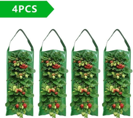 Zak per piante di fragola appese, 4 pezzi