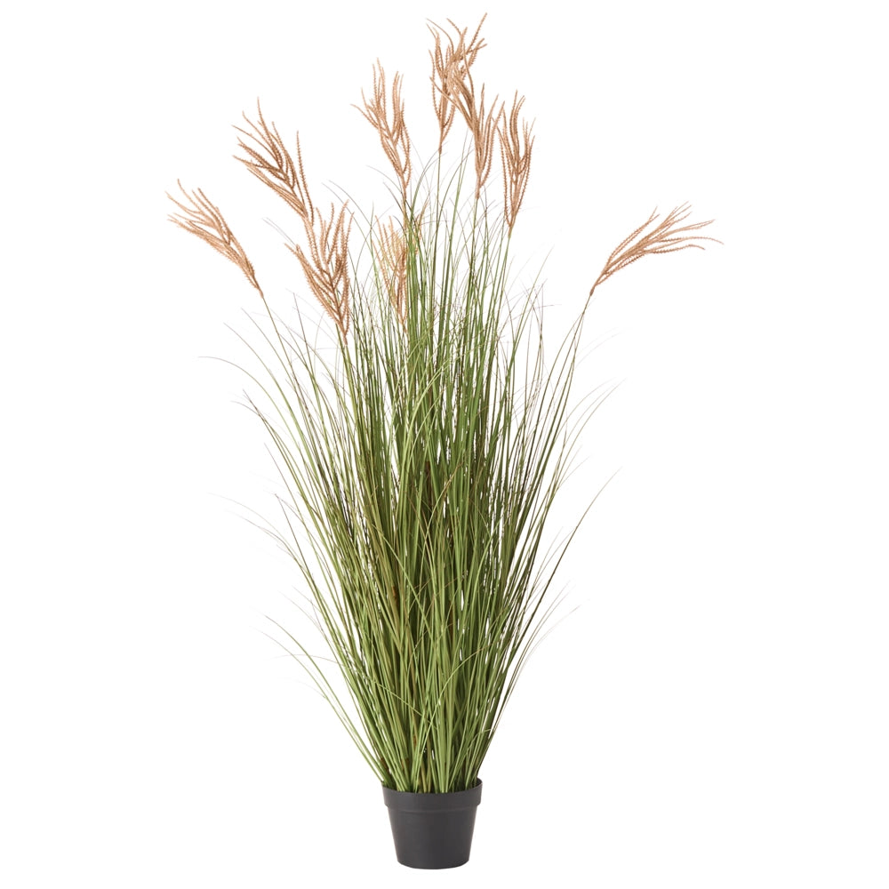 Pianta artificiale in vaso Verde e marrone Coda di Volpe Materiale sintetico e vaso di plastica nero 150 cm Accessorio decorativo per la casa