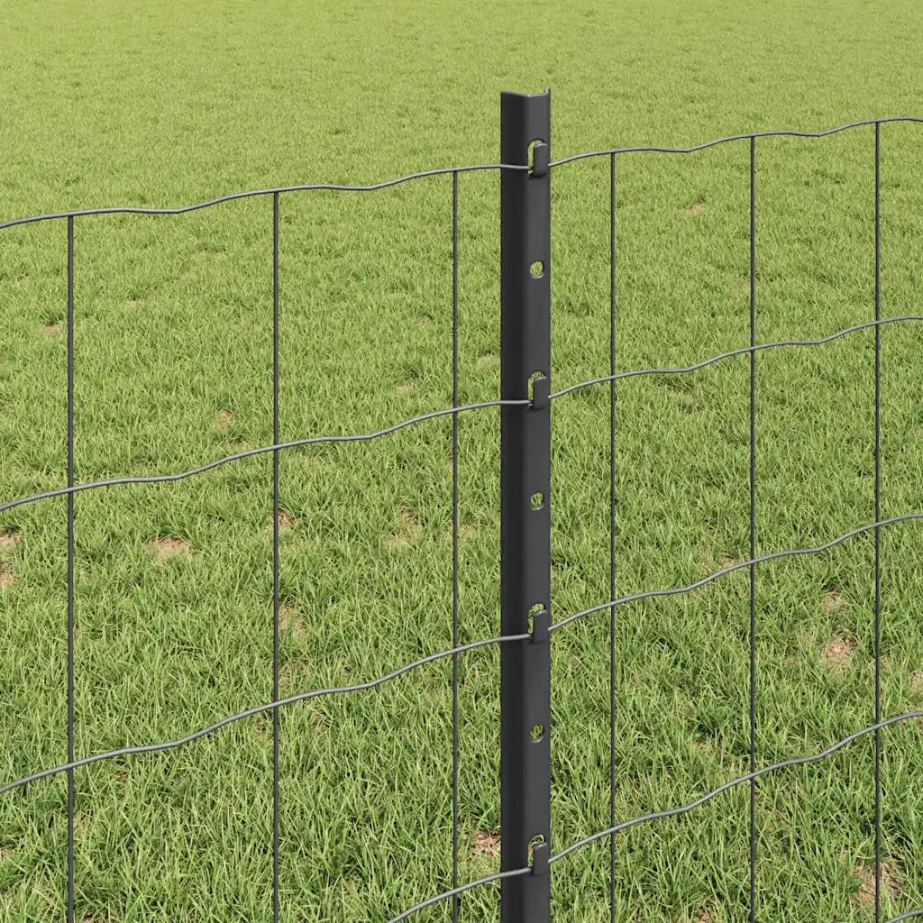 Recinzione con Posto Grigio 3336080