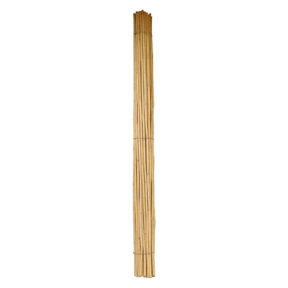 CANNA BAMBU' Ø 24/26 mm. circa - h. mt 2,1- 50 pezzi  - BricoGo