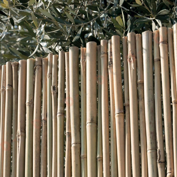 Arella Canna Passante Master Bamboo Naturale 250 x 300 cm