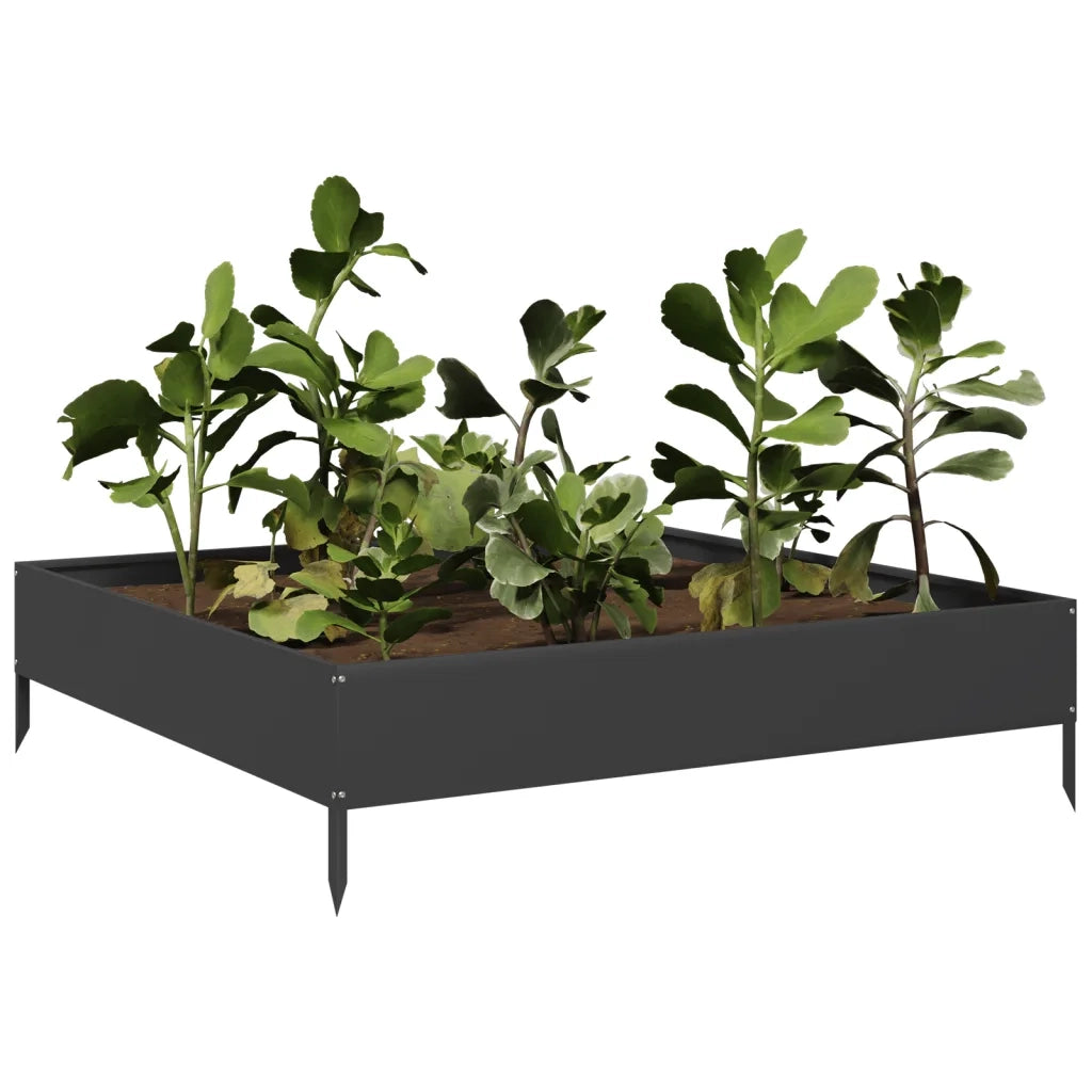 Fioriera | Cassetta per fiori | Vaso Rialzata da Giardino Nera 100x100x26 cm in Acciaio