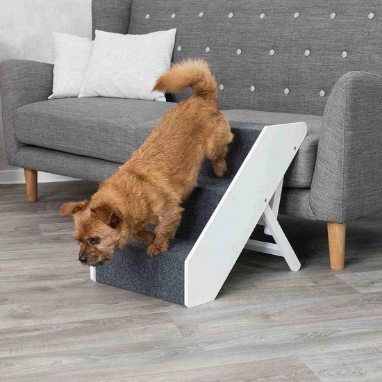 Trappola per cani e gatti per letto, divano, schiuma alta densità, lavabile, 20 x 67 x 47 cm