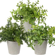 Collezione di piante artificiali miniatura in vaso di cemento decorativo, set da 3 pezzi, con eucalipto e rosmarino.