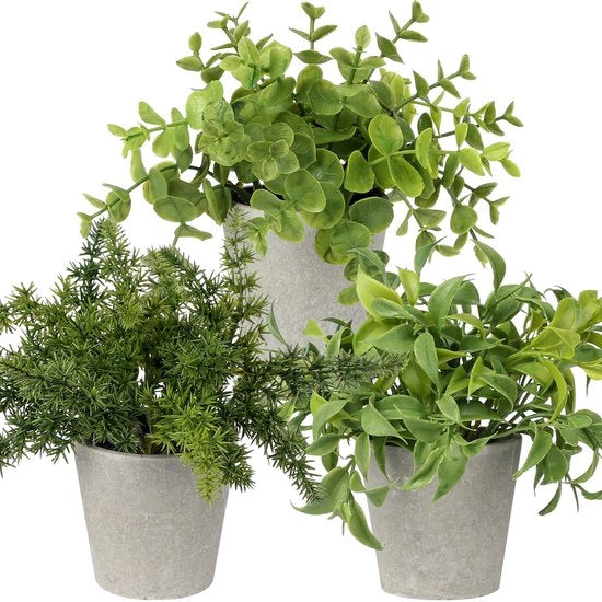 Collezione di piante artificiali miniatura in vaso di cemento decorativo, set da 3 pezzi, con eucalipto e rosmarino.