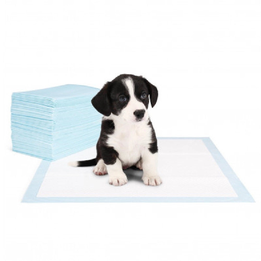 Trade Shop - Pack 40 Traversine Cani 60 X 40 Cm Nobleza Tappeto Assorbente Puppy Pads -