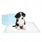Trade Shop - Pack 40 Traversine Cani 60 X 40 Cm Nobleza Tappeto Assorbente Puppy Pads -