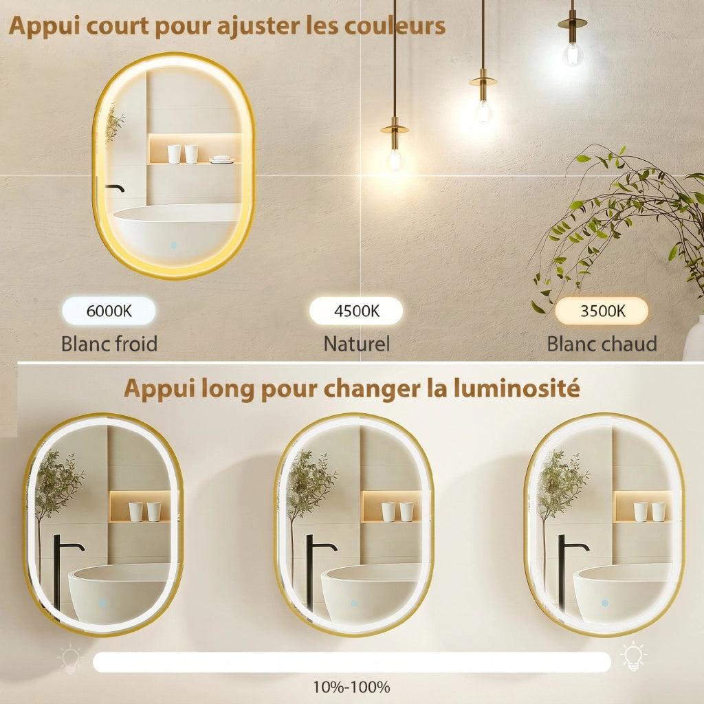 Armadietto da Bagno con Specchio e LED ¨C zephmum ¨C Dorato 50x14.5x70cm