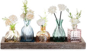 Set di Vasi Mini in Vetro con Scatola in Legno per Ambiente di Casa, Ufficio e Sala da Pranzo, Decorazione di Tavola, 5 Vasi Colorati