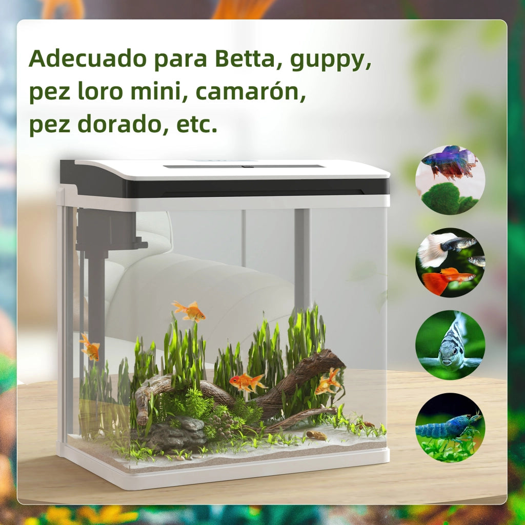 Acquario in vetro 13L con filtro illuminazione LED e pompa ¨C zephmum ¨C 29x20x30,5 cm bianco