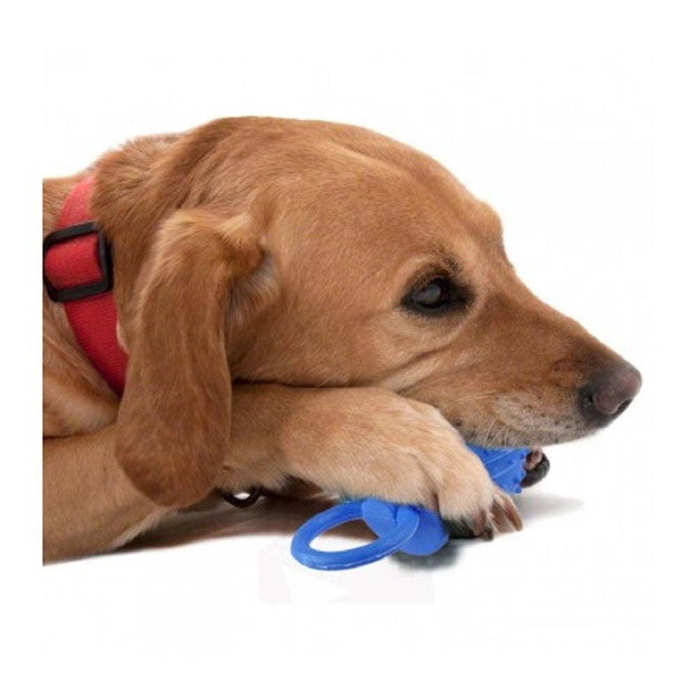 Trade Shop - Gioco Riportino Per Animali Ciuccio In Gomma Sonoro 14 Cm Morbido Per Cani Gatti -